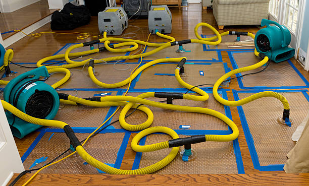 Professional Water Damage Repair technician working in Ellendale, TN